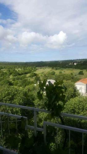  DAVID-IN PRIMOŠTEN 1 in Primošten