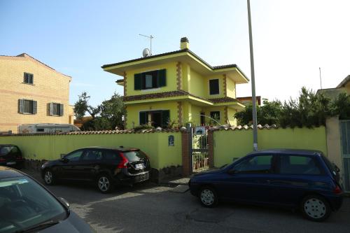

Bucganvilla