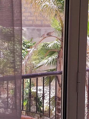 la valle dei templi 18 th chambre d'hôte Torcicuda