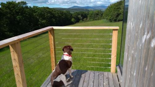 Nire Valley Eco Camp - image 6