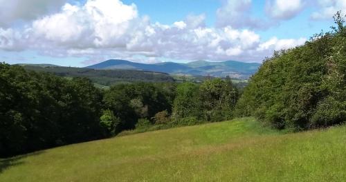 Nire Valley Eco Camp - main image