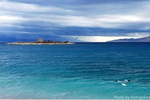  Monja in Novi Vinodolski