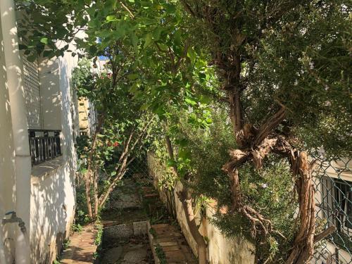 Can Pau Guesthouse - image 2