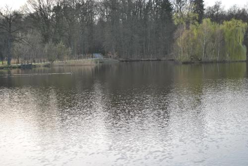 Skats, Am Mariental 11 in Hankensbüttel