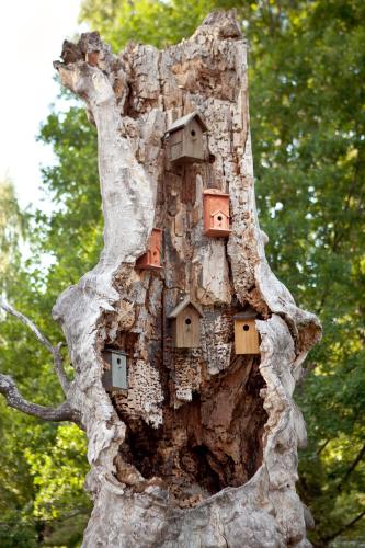 Linnumaja Guesthouse - image 10