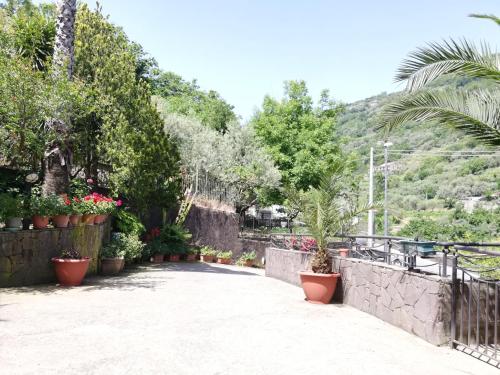 IL GIARDINO (The garden) - Accommodation - Pimonte