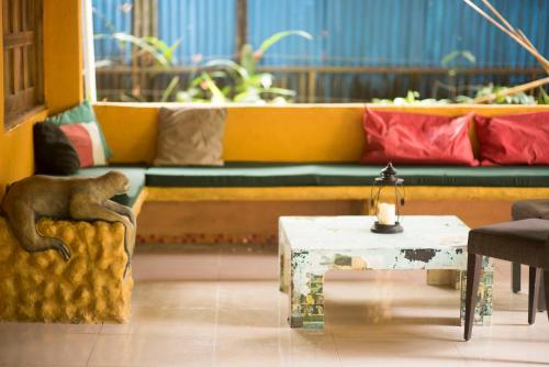 Aufenthaltsraum/TV-Zimmer, Madre Selva Hostel in Puerto Viejo de Talamanca