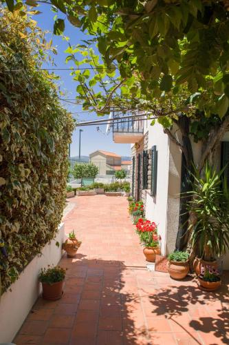 Armamar Village House in Armamar