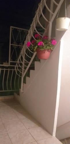  Nastasja apartman in Krvavica