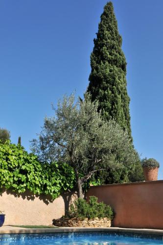 Le Messuguet chambre d'hôte Le Plan Olive