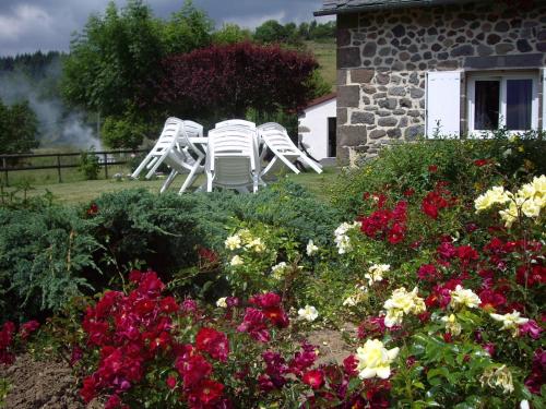 ferme de Lamourio - Accommodation - Saint-Cernin