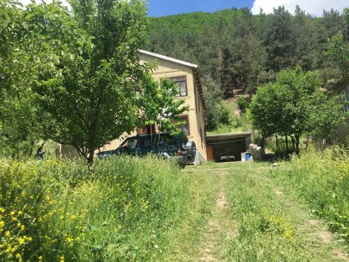 Nuri Guesthouse - Apartment - Mestia