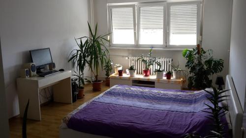  Boom-Room in Zagreb