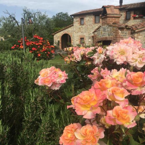 Agriturismo Valiana - Hotel - Montegabbione