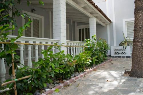 منظر, Paradise Beach Hotel in Argassi