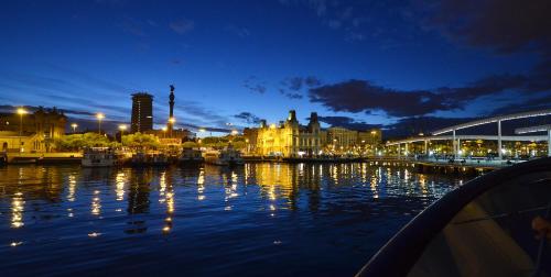Southern Cross 3