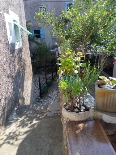 Apartman DINKO in Lubenice
