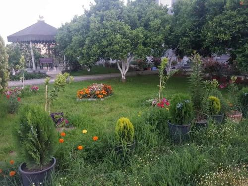 Guesthouse Anila