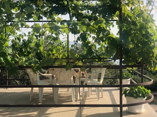4 Sisters Apartments in Gradac