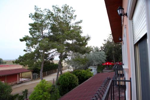 Hotel Pelikan - image 8