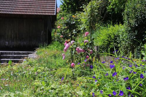 Apartments for families with children Slunj Plitvice - 17416 - image 3