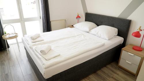Check In Hotel - image 4