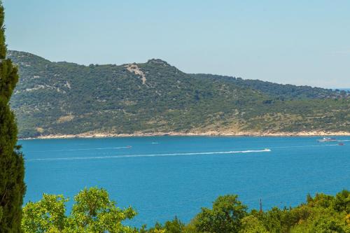  Summer Chill Apartment in Trsteno