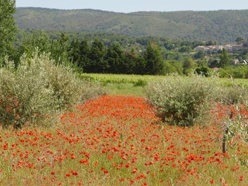 Chateau des Gipières bij de Mont Ventoux