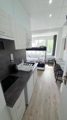 ห้องครัว, Small Apartments Denisa Business in ซิเดนิเซ