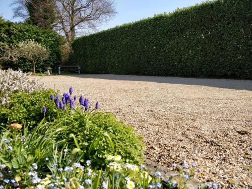 Pinfield Boutique Hotel - image 4