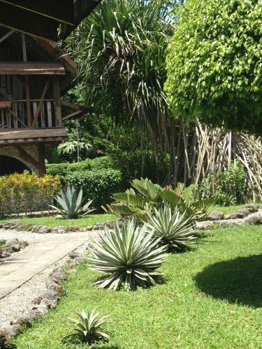 Hotel Suizo Loco Lodge & Resort – Cahuita, CA