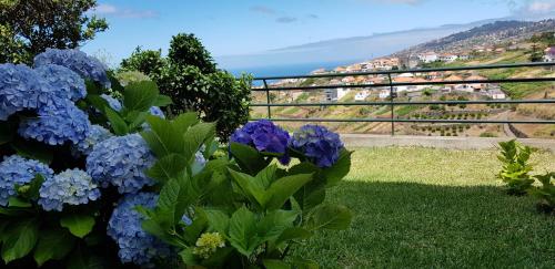  Casa Serramar in Arco da Calheta