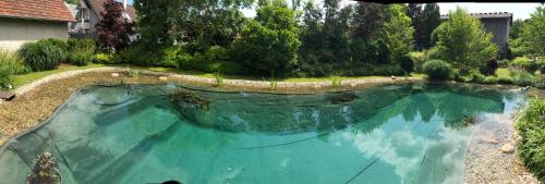 Hotel Garni Landhaus Florian - image 2