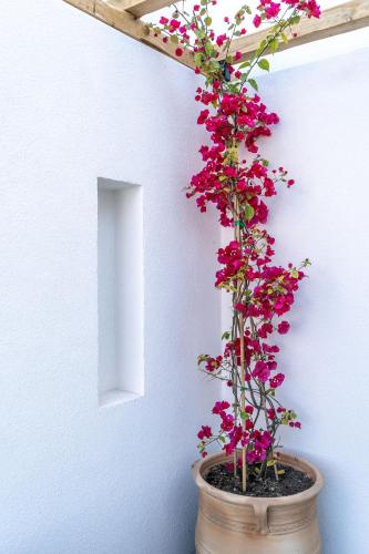 Lemon Suites Santorini