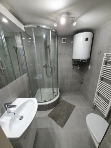 ห้องน้ำ, Small Apartments Denisa Business in ซิเดนิเซ