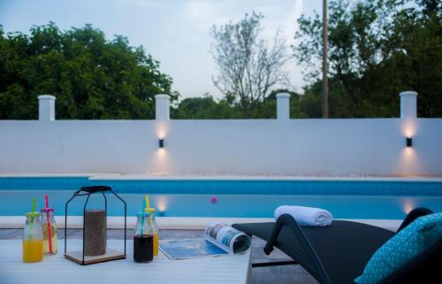 Central Dalmatian Pool&Grill House in Gustirna