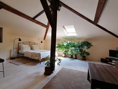 Guest House Verbena in 阿普里爾齊