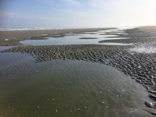 B&B Nobel in Ameland