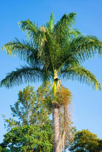 Mambo Hideaway image 17