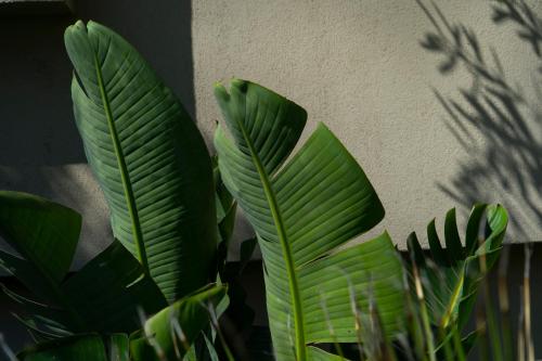 Akti Hotel Kavala Akti Hotel Kavala