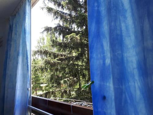  Tengerészlak Apartman in Fonyód