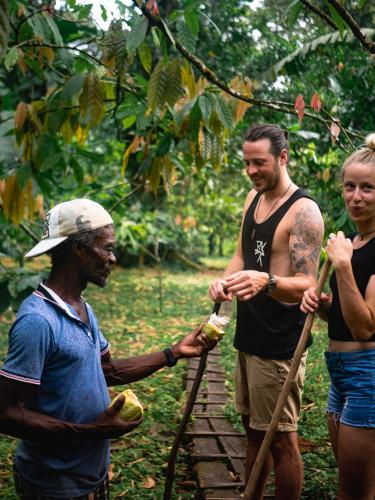 La Loma Jungle Lodge and Chocolate Farm