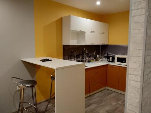Bright Apartment in the Very Center of Novosibirsk