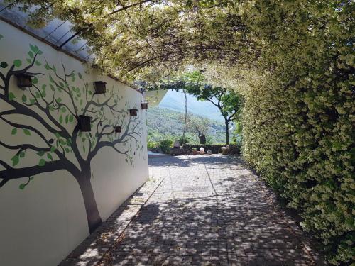 #IoniaHouse Surrel Villa, Тирана (фото 5)