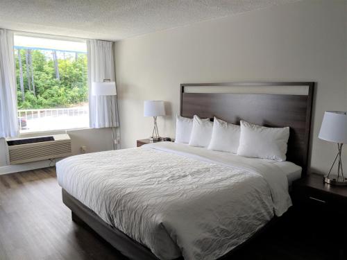 Lakefront Terrace Resort - image 5