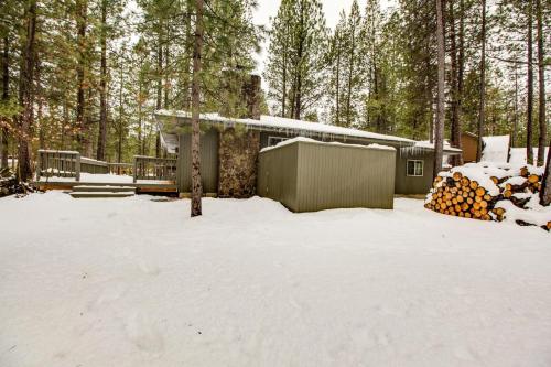 Backwoods 6 - image 7