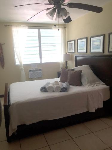 Casa Esperanza Vieques Island 2019 Reviews Pictures Deals