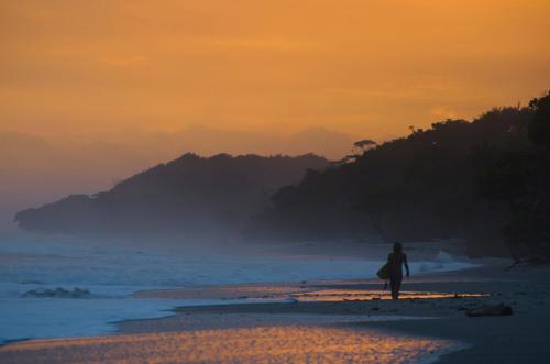 Beach, Zeneidas Surf Garden in Santa Teresa