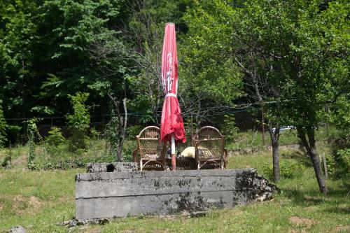  Plitvice BearPackers in Jezerce