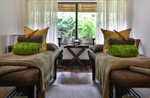 Shamwari Game Reserve